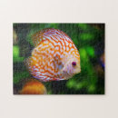 Recherche de aquarium puzzles Tropical