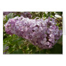 Recherche de seringue vœux cartes Violet