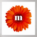 Search for orange gerbera art Flower