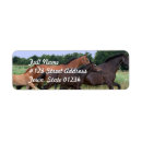 Search for wild horses return address labels Equine