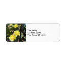 Search for pear return address labels Arizona