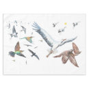 Search for migratory Wildlife