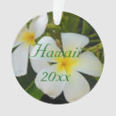 Recherche de plumeria ornements Hawaïen