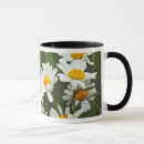 Recherche de aster tasses Botanique