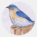 Search for bluebird stickers Watercolor