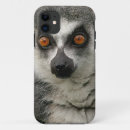 Search for lemurs iphone cases Wildlife