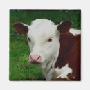 Search for comic animals magnets Wildlife