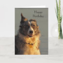 Search for exercise cards Pet