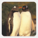 Search for antarctic stickers Bird