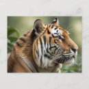 Recherche de image de tigre Safari