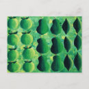 Recherche de pommes cartes postales Bio