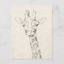 Recherche de portrait girafe cartes postales Zoo