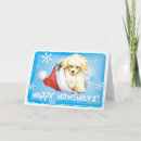 Search for poodle christmas cards Puppy