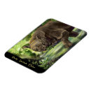 Recherche de espèces magnets Faune