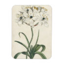 Search for study magnets Flowers