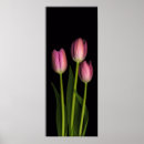 Recherche de copie de tulipe Fleur