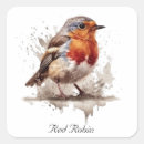 Search for red robin stickers Watercolor