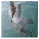 Search for bottlenosed dolphin tiles Wildlife