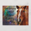 Recherche de salutation de cheval Pour tous