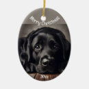 Recherche de labrador retriever ornements Joyeux noël