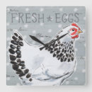 Recherche de coqs horloges Animaux