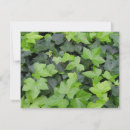 Search for botanical prints cards Nature