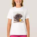 Search for chocolate labrador tshirts Animal