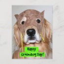 Search for golden mask postcards Dog