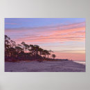 Search for audubon birds posters Wildlife