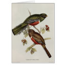 Recherche de trogon Coloré