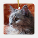 Search for tortoiseshell cat ornaments Kitty