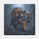 Search for tigers in magnets Powerful