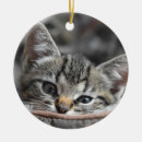 Search for grey kitten ornaments Kitty