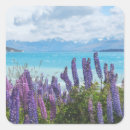 Search for shore stickers Nature