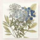 Search for lacy Botanical