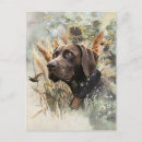 Search for german shorthair pointer postcards Bird dog