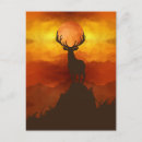 Search for mountain sunset postcards Wildlife