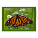 Search for migration cards Butterfly