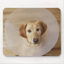 Recherche de cou tapis souris Vertical