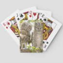 Recherche de hibou jeux de cartes Observation d'oiseau