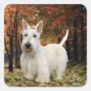 Search for wheaten terriers stickers Pets