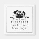 Search for therapy dog magnets Pug