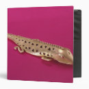Search for lizards binders Alligator