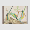 Search for asian tissue paper Illustration