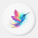 Search for rainbow magnets Vibrant