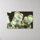 Search for food science posters Micrography