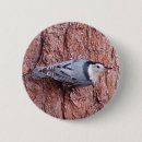Recherche de observe des animaux badges Mignon