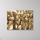 Search for tree bark canvas prints Nature