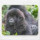 Search for mountain gorilla mousepads Wildlife