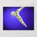 Recherche de achilles cartes postales Anatomie